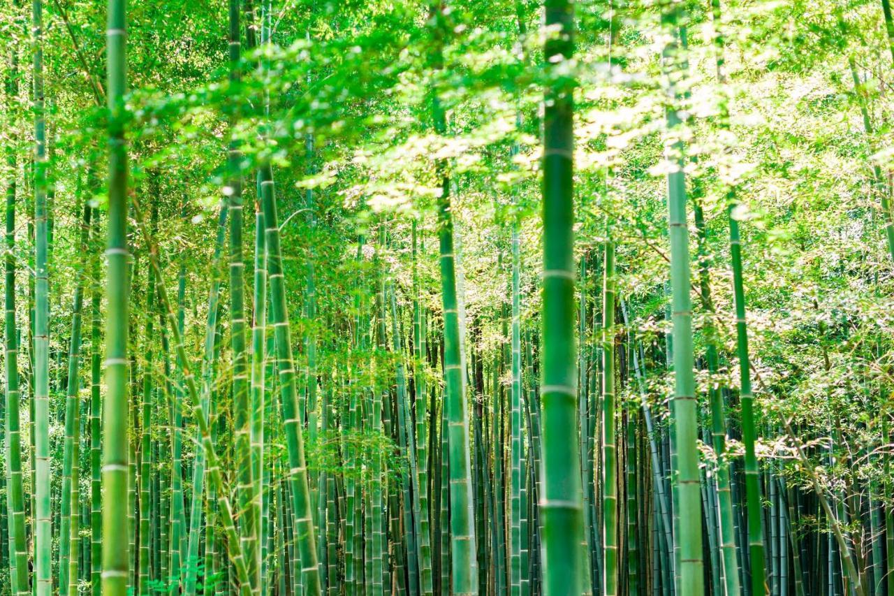Suiran, A Luxury Collection Hotel, Kyoto Buitenkant foto